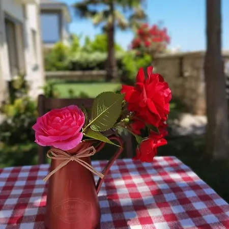 Funny Near Kite Surf Center Apartment Urla