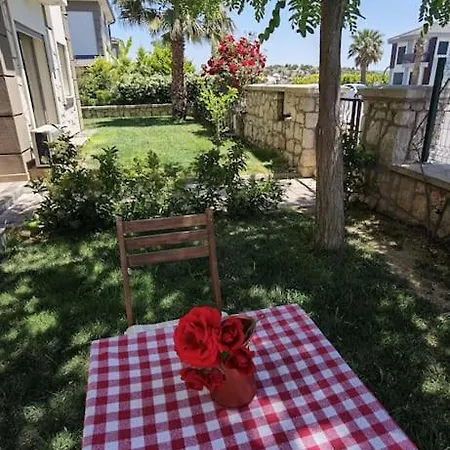Funny Near Kite Surf Center Urla